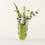 Green skincare bottle inside a clear glass vase with assorted green herbs and leaves showing above the rim.