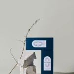 Blue BRIODERME Acne Derma Wash boxes stacked beside a twig and rough concrete blocks in a minimalist setup.