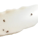 Thin pale-white slice of cheese or dairy product with scattered small brown seeds on a white background.