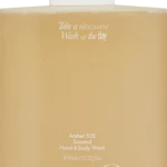 White pump bottle of Amber 528 scented hand and body wash with a peach label; slogan 'Take a shower, Wash off the day' and 450 ml capacity visible.